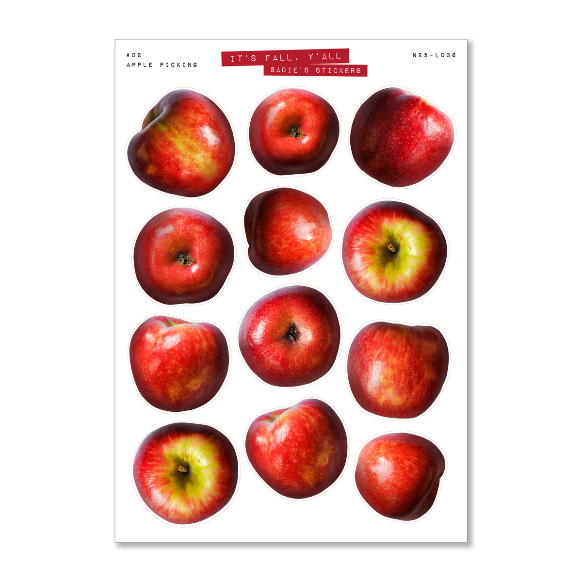 N25-L036-02.png?crop=center&