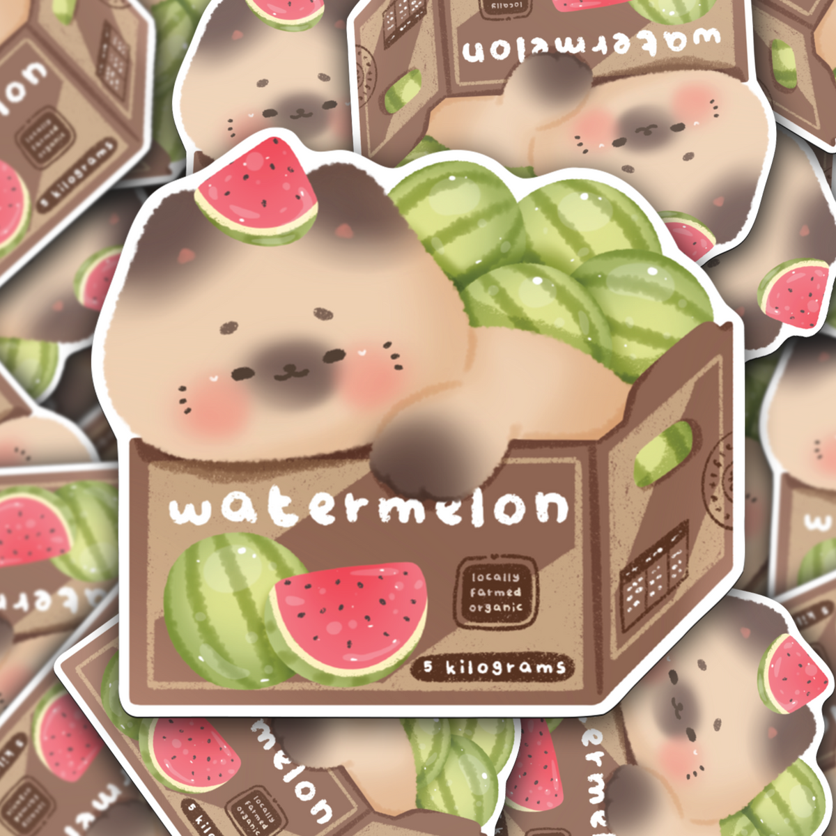 Watermelon Box Cat • Vinyl Sticker – Sadie's Stickers
